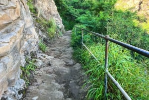 Oahu: Diamond Head Crater Trailhead Transfer & toegangsprijs