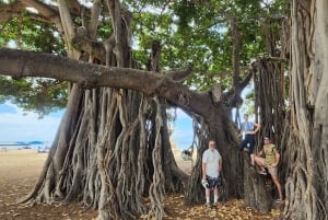 Oahu: Diamond Head E-bike Scenic Ride
