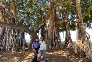 Oahu: Diamond Head E-bike Scenic Ride
