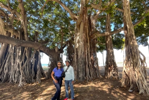Oahu: giro panoramico in bici elettrica Diamond Head