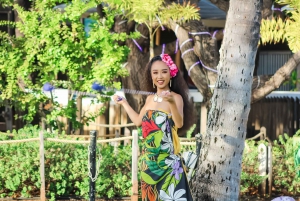 Oahu: Diamond Head Luau at the Waikiki Aquarium