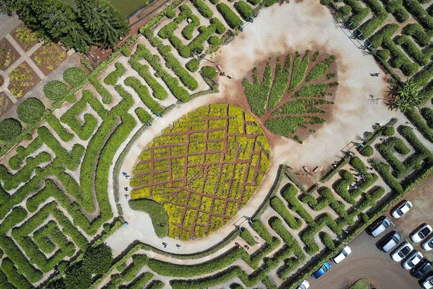 Oahu: Tour de lujo a la plantación Dole y Haleiwa Express