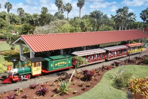 Oahu: Tour de lujo a la plantación Dole y Haleiwa Express
