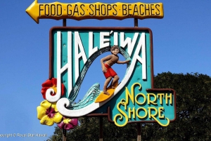 Oahu: Tour de lujo a la plantación Dole y Haleiwa Express