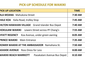 Oahu: Tour de lujo a la plantación Dole y Haleiwa Express