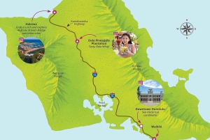 Oahu: Tour de lujo a la plantación Dole y Haleiwa Express