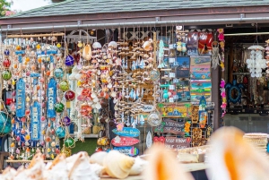 Oahu: Tour de lujo a la plantación Dole y Haleiwa Express