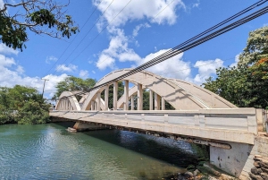 Oahu: Tour de lujo a la plantación Dole y Haleiwa Express