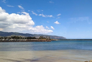 Oahu: Tour de lujo a la plantación Dole y Haleiwa Express