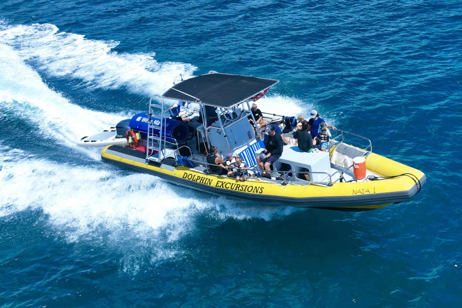 Oahu: Excursie zwemmen met dolfijnen en snorkelen met schildpadden in Waianae