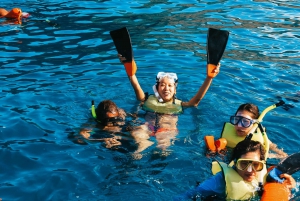 Oahu: Dolphin Watch and Snorkeling Adventure