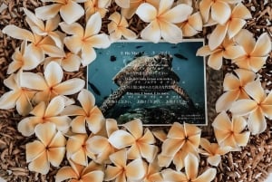 Oahu: Vesiliukumäki Aktiviteetit: Dolphin Watch, Turtle Snorkel, Waterslide,