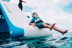 Oahu: Delfinsafari, skilpaddesnorkling, vannsklieaktiviteter,