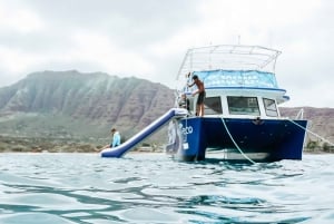 Oahu: Vesiliukumäki Aktiviteetit: Dolphin Watch, Turtle Snorkel, Waterslide,