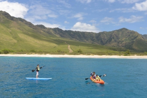 Observación de delfines en Oahu, snorkel con tortugas, actividades en toboganes acuáticos