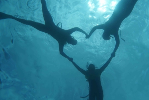 Observación de delfines en Oahu, snorkel con tortugas, actividades en toboganes acuáticos