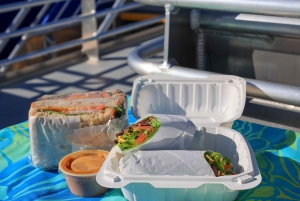 Observación de delfines en Oahu, snorkel con tortugas, actividades en toboganes acuáticos