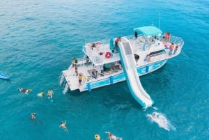 Oahu: Dolphin Watching & Turtle Snorkeling with Waterslide