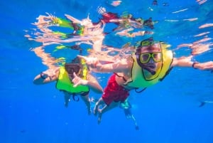 Oahu: Dolphin Watching & Turtle Snorkeling with Waterslide