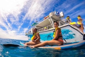 Oahu: Dolphin Watching & Turtle Snorkeling with Waterslide