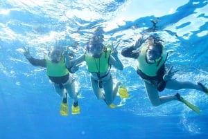 Oahu: Dolphin Watching & Turtle Snorkeling with Waterslide