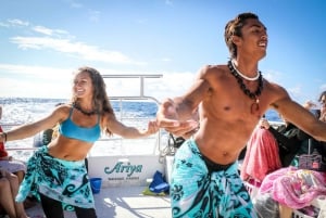 Oahu: Dolphin Watching with Lunch and Ocean Sports