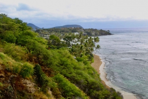 Oahu : Visite du centre-ville d'Honolulu et du Diamond Head