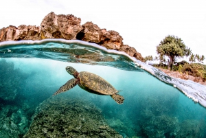 Oahu: Eco-Friendly West Oahu Snorkel Sail with Dolphins