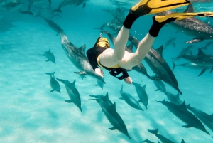 Oahu: Eco-Friendly West Oahu Snorkel Sail with Dolphins