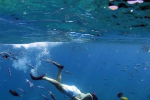 Oahu: EPICO tour in fuoristrada e snorkeling al tramonto