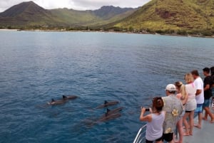 Oahu: EPICO tour in fuoristrada e snorkeling al tramonto