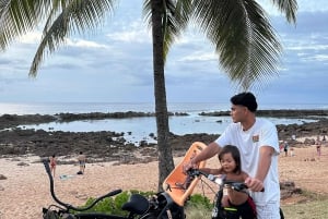 Oahu: Explore the North Shore with Bike and Snorkel Rental