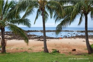 Oahu: Explore the North Shore with Bike and Snorkel Rental