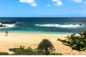 Oahu: Explore the North Shore with Bike and Snorkel Rental