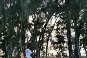 Oahu: Explore the North Shore with Bike and Snorkel Rental