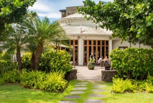 Oahu: Heldags guidad rundtur med mat och foton från Hawaii