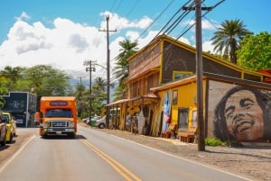 Honolulu: Całodniowa wycieczka autobusem z przewodnikiem po wyspie Oahu z lunchem