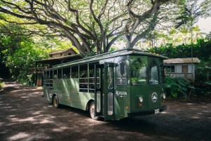 Oahu: Go City All-Inclusive Pass with 40+ Experiences