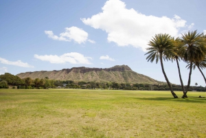 Oahu: Go City Pass with 45+ Attractions and Experiences