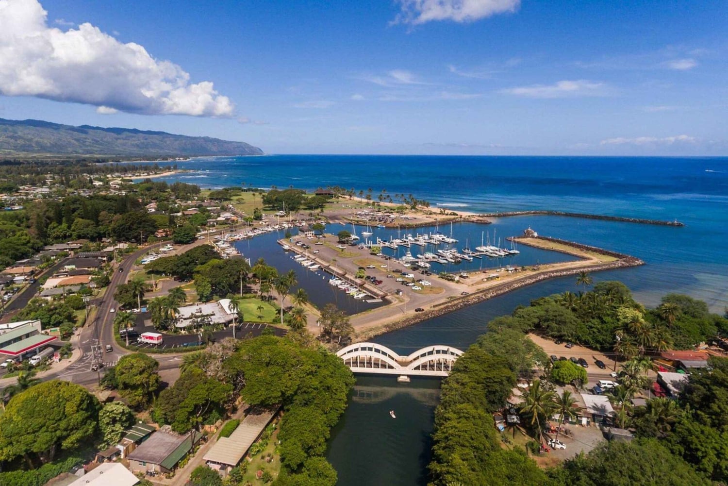 Oahu: Grand Circle Island Tour with Haleiwa