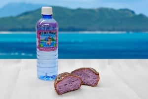 Oahu: Grand Circle Island Tour with Haleiwa