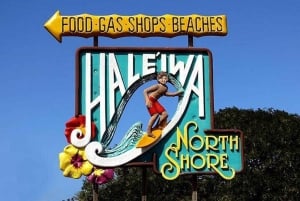 Oahu: Grand Circle Island Tour with Haleiwa