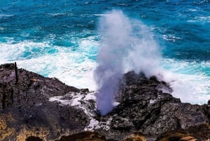 Oahu: Grand Circle Island Tour with Haleiwa