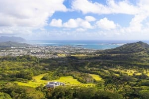 Oahu: Grand Circle Island Tour with Haleiwa