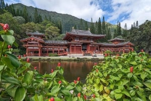 Oahu: Grand Circle Island Tour with Haleiwa