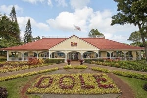 Oahu: Grand Circle Island Tour with Haleiwa