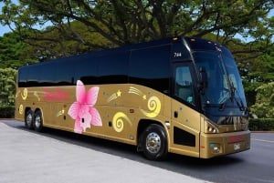 Oahu: Grand Circle Island Tour with Haleiwa