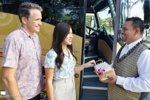 Oahu: Grand Circle Island Tour with Haleiwa