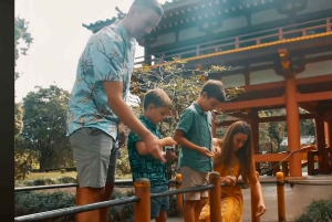 Oahu: Grand Circle Island Tour with Haleiwa