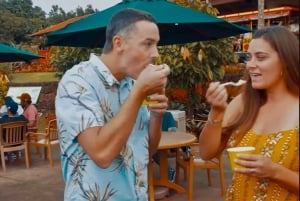 Oahu: Grand Circle Island Tour with Haleiwa